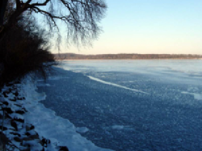 How can fish survive in a frozen lake? | NSTA